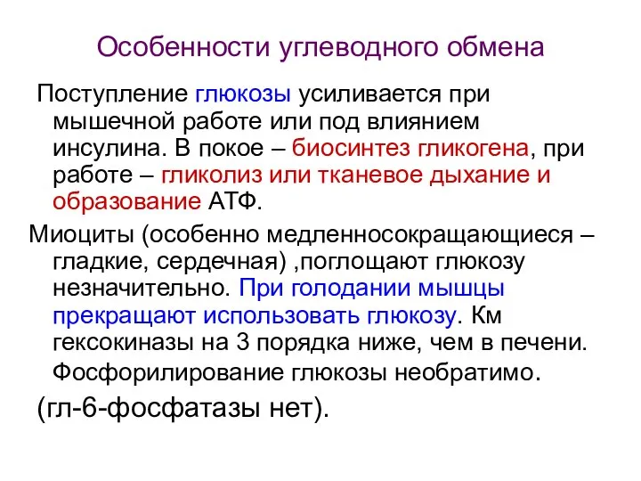 Особенности углеводного обмена Поступление глюкозы усиливается при мышечной работе или под