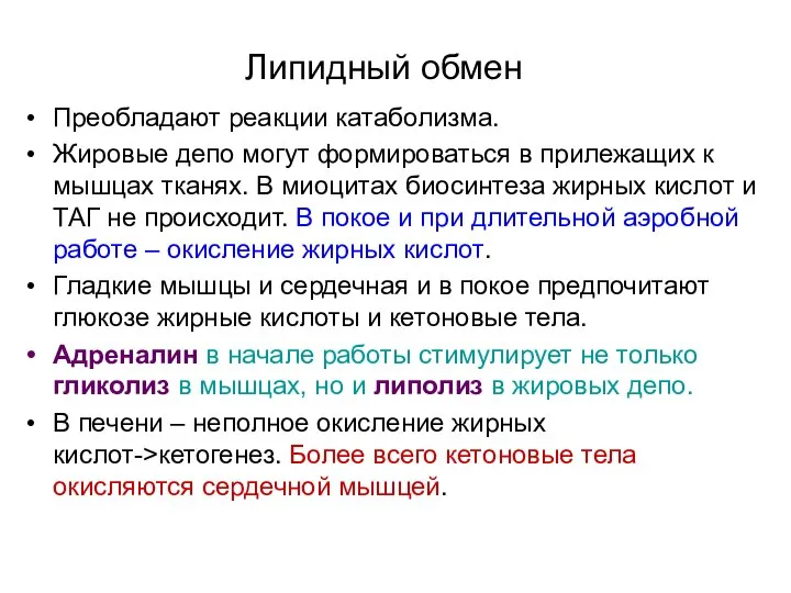 Липидный обмен Преобладают реакции катаболизма. Жировые депо могут формироваться в прилежащих