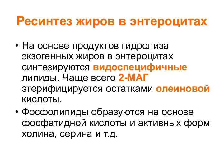 Ресинтез жиров в энтероцитах На основе продуктов гидролиза экзогенных жиров в