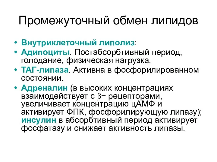 Промежуточный обмен липидов Внутриклеточный липолиз: Адипоциты. Постабсорбтивный период, голодание, физическая нагрузка.