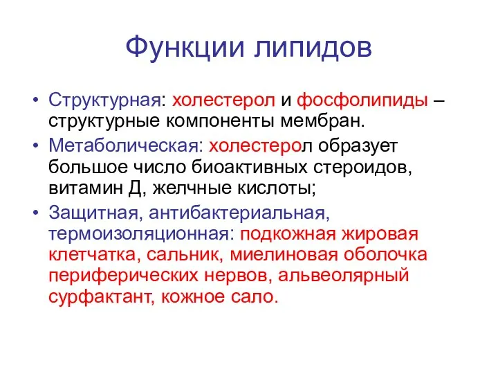 Функции липидов Структурная: холестерол и фосфолипиды – структурные компоненты мембран. Метаболическая: