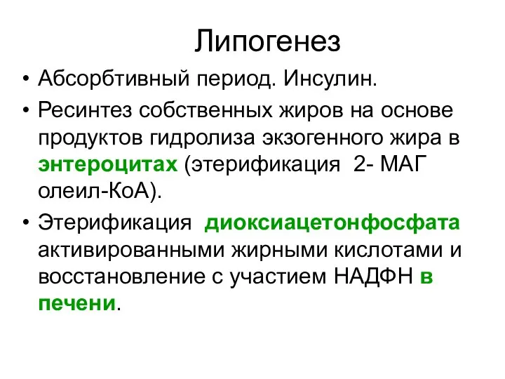 Липогенез Абсорбтивный период. Инсулин. Ресинтез собственных жиров на основе продуктов гидролиза