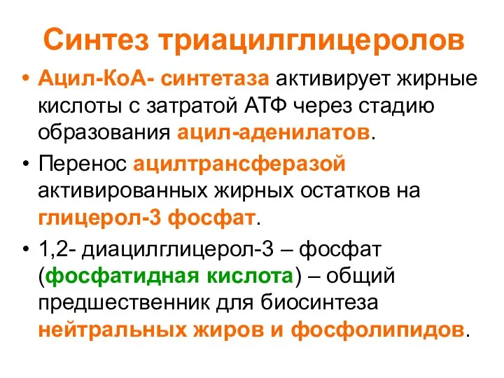 Синтез триацилглицеролов Ацил-КоА- синтетаза активирует жирные кислоты с затратой АТФ через