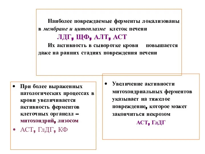 Наиболее повреждаемые ферменты локализованы в мембране и цитоплазме клеток печени ЛДГ,