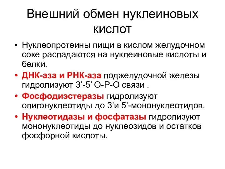 Внешний обмен нуклеиновых кислот Нуклеопротеины пищи в кислом желудочном соке распадаются