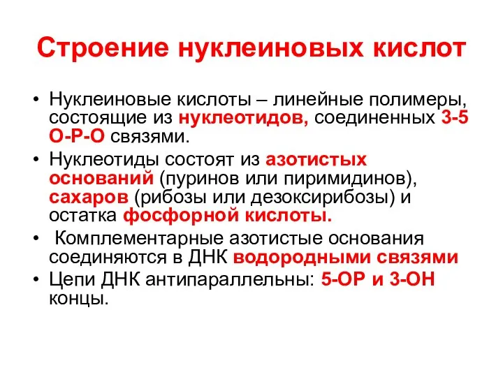 Строение нуклеиновых кислот Нуклеиновые кислоты – линейные полимеры, состоящие из нуклеотидов,