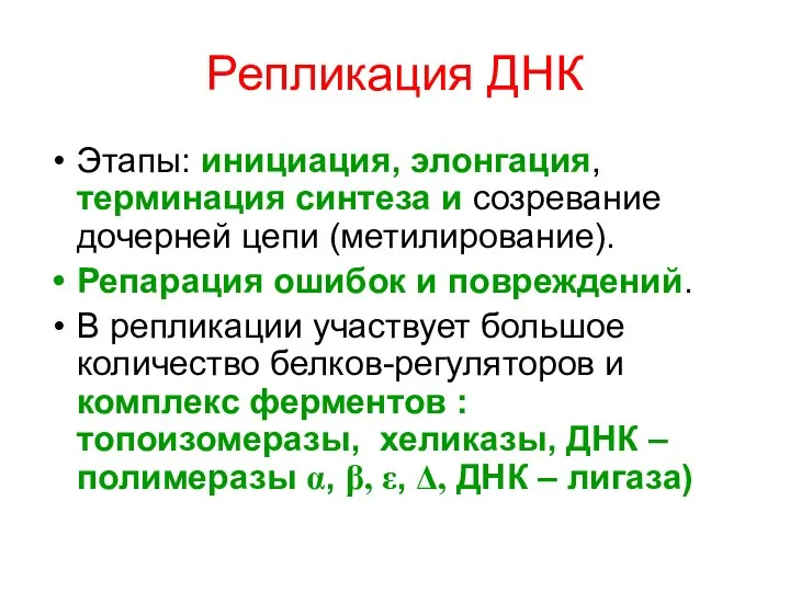 Репликация ДНК Этапы: инициация, элонгация, терминация синтеза и созревание дочерней цепи