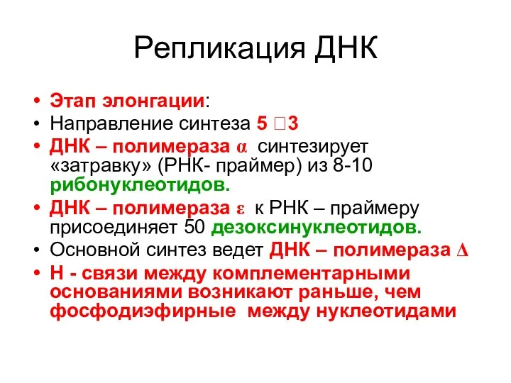 Репликация ДНК Этап элонгации: Направление синтеза 5 ?3 ДНК – полимераза