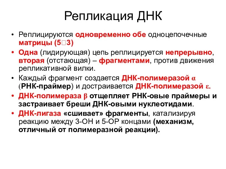 Репликация ДНК Реплицируются одновременно обе одноцепочечные матрицы (5?3) Одна (лидирующая) цепь