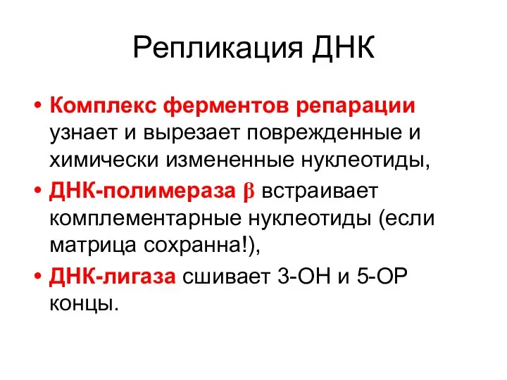 Репликация ДНК Комплекс ферментов репарации узнает и вырезает поврежденные и химически