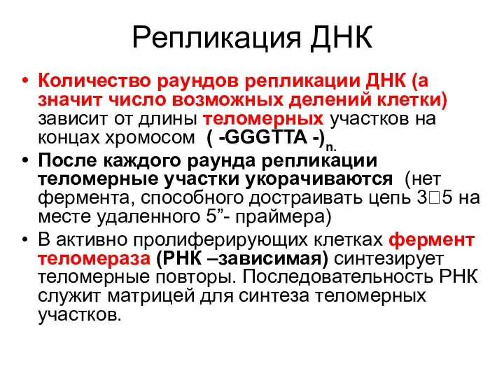 Репликация ДНК Количество раундов репликации ДНК (а значит число возможных делений