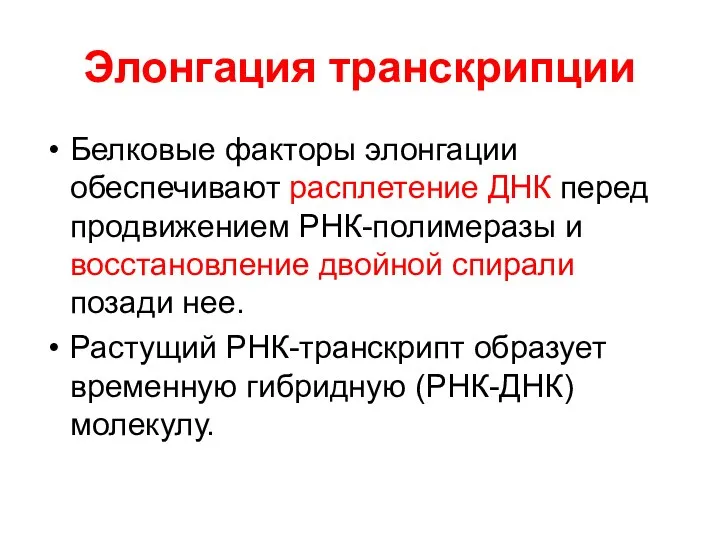 Элонгация транскрипции Белковые факторы элонгации обеспечивают расплетение ДНК перед продвижением РНК-полимеразы