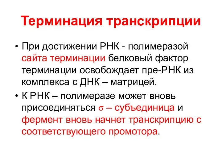 Терминация транскрипции При достижении РНК - полимеразой сайта терминации белковый фактор