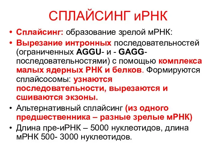 СПЛАЙСИНГ иРНК Сплайсинг: образование зрелой мРНК: Вырезание интронных последовательностей (ограниченных AGGU-