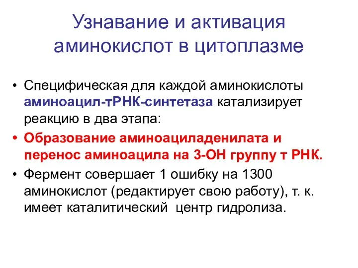 Узнавание и активация аминокислот в цитоплазме Специфическая для каждой аминокислоты аминоацил-тРНК-синтетаза