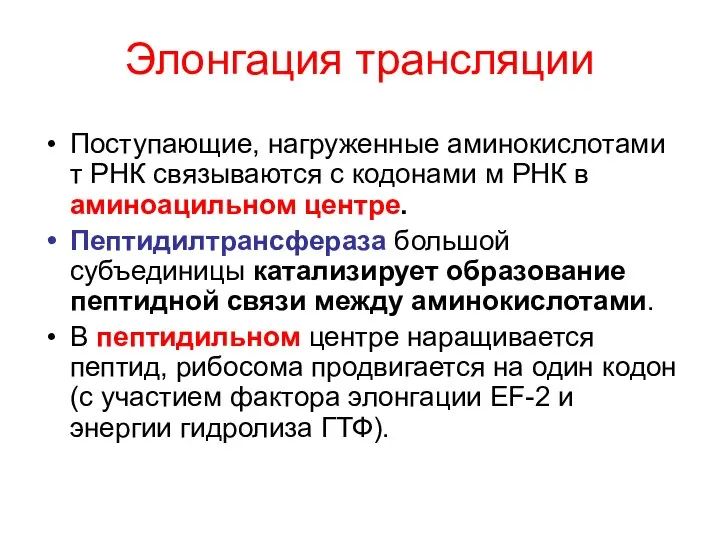 Элонгация трансляции Поступающие, нагруженные аминокислотами т РНК связываются с кодонами м