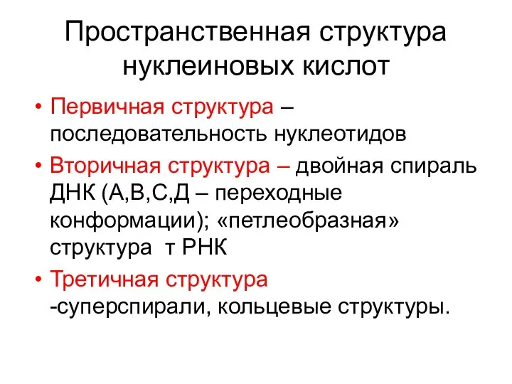 Пространственная структура нуклеиновых кислот Первичная структура – последовательность нуклеотидов Вторичная структура