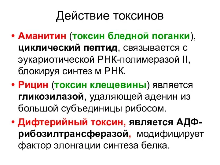 Действие токсинов Аманитин (токсин бледной поганки), циклический пептид, связывается с эукариотической