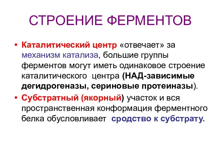 СТРОЕНИЕ ФЕРМЕНТОВ Каталитический центр «отвечает» за механизм катализа, большие группы ферментов