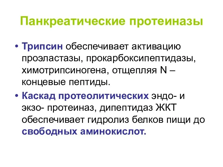 Панкреатические протеиназы Трипсин обеспечивает активацию проэластазы, прокарбоксипептидазы, химотрипсиногена, отщепляя N –концевые