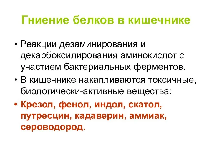 Гниение белков в кишечнике Реакции дезаминирования и декарбоксилирования аминокислот с участием