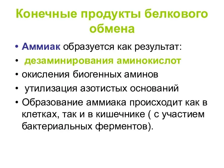 Конечные продукты белкового обмена Аммиак образуется как результат: дезаминирования аминокислот окисления