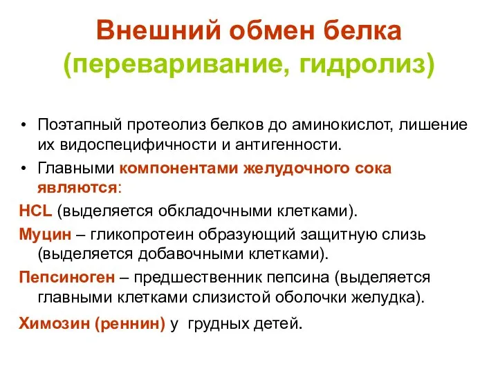 Внешний обмен белка (переваривание, гидролиз) Поэтапный протеолиз белков до аминокислот, лишение