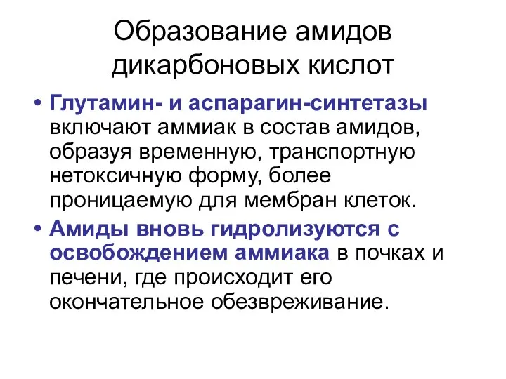 Образование амидов дикарбоновых кислот Глутамин- и аспарагин-синтетазы включают аммиак в состав