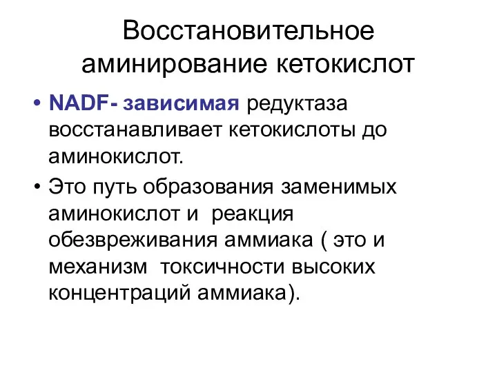 Восстановительное аминирование кетокислот NADF- зависимая редуктаза восстанавливает кетокислоты до аминокислот. Это