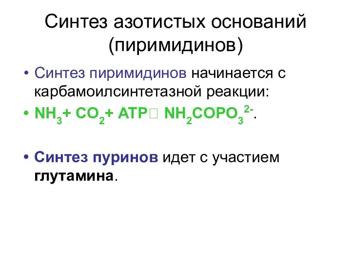 Синтез азотистых оснований (пиримидинов) Синтез пиримидинов начинается с карбамоилсинтетазной реакции: NH3+