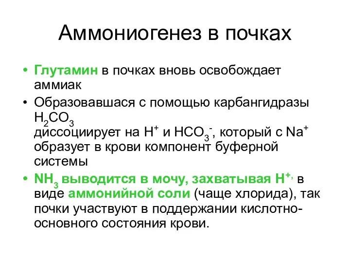 Аммониогенез в почках Глутамин в почках вновь освобождает аммиак Образовавшася с