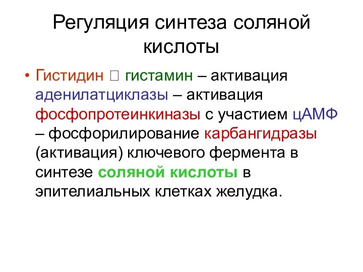 Регуляция синтеза соляной кислоты Гистидин ? гистамин – активация аденилатциклазы –