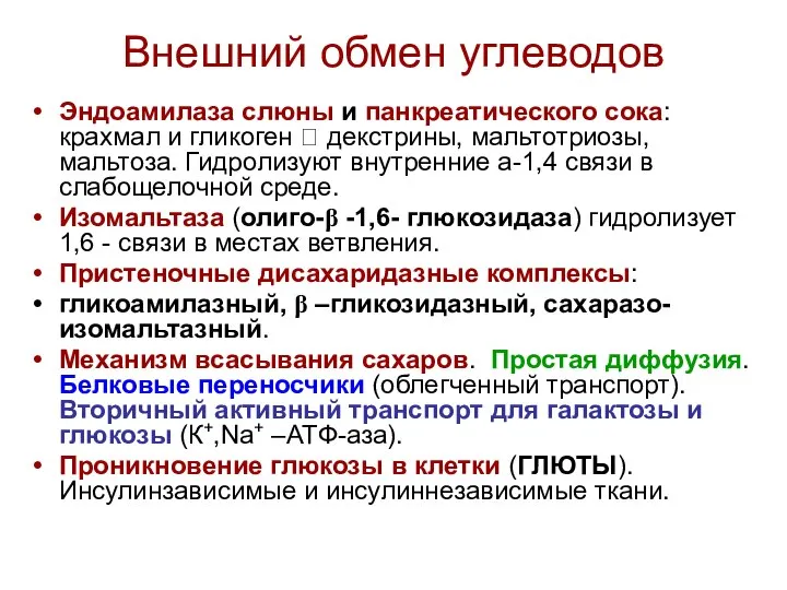 Внешний обмен углеводов Эндоамилаза слюны и панкреатического сока: крахмал и гликоген