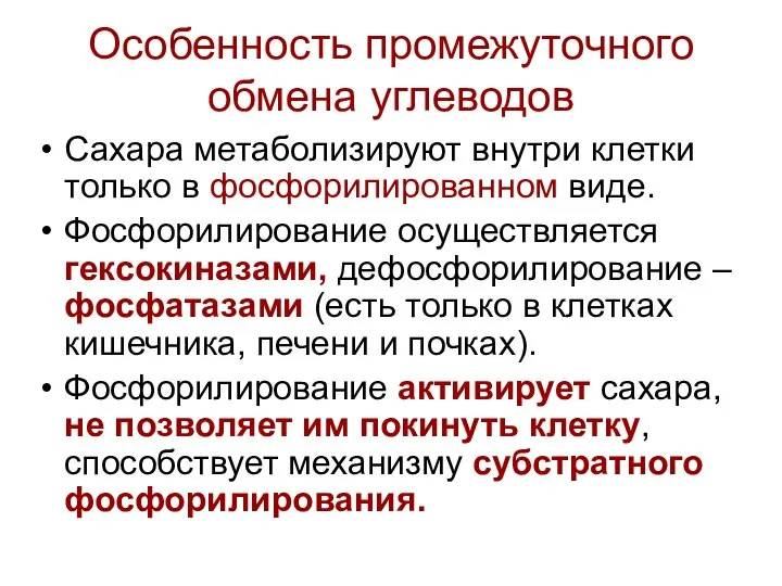 Особенность промежуточного обмена углеводов Сахара метаболизируют внутри клетки только в фосфорилированном