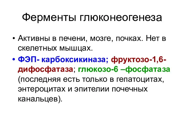 Ферменты глюконеогенеза Активны в печени, мозге, почках. Нет в скелетных мышцах.