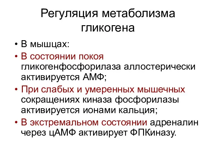 Регуляция метаболизма гликогена В мышцах: В состоянии покоя гликогенфосфорилаза аллостерически активируется