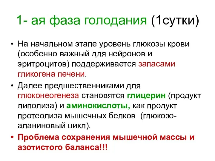 1- ая фаза голодания (1сутки) На начальном этапе уровень глюкозы крови