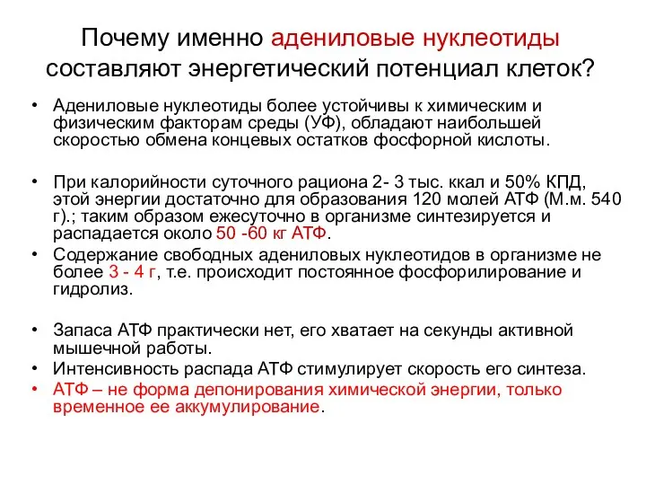 Почему именно адениловые нуклеотиды составляют энергетический потенциал клеток? Адениловые нуклеотиды более