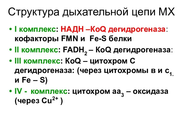 Структура дыхательной цепи МХ I комплекс: НАДН –КоQ дегидрогеназа: кофакторы FMN