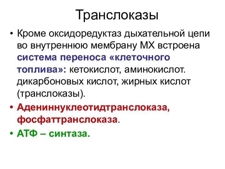 Транслоказы Кроме оксидоредуктаз дыхательной цепи во внутреннюю мембрану МХ встроена система