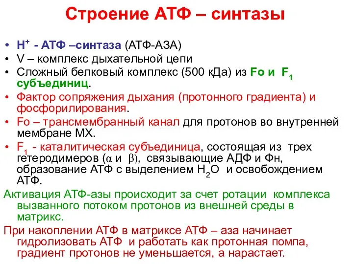 Строение АТФ – синтазы Н+ - АТФ –синтаза (АТФ-АЗА) V –