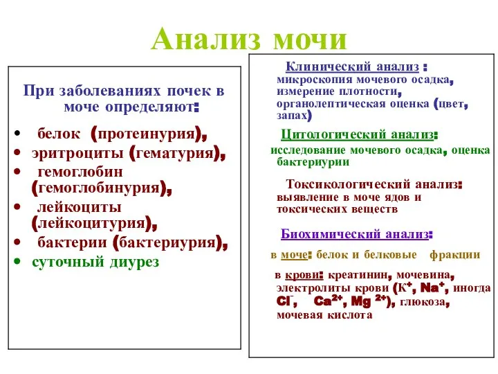 Анализ мочи При заболеваниях почек в моче определяют: белок (протеинурия), эритроциты