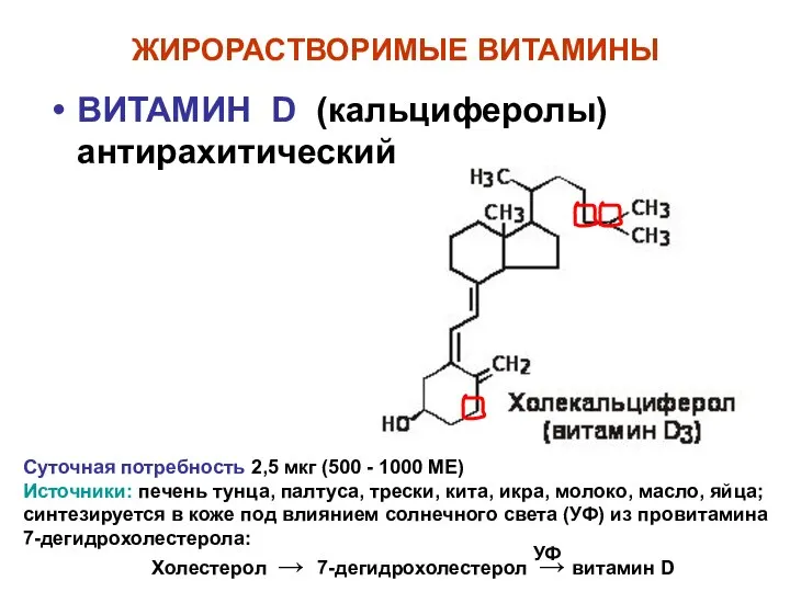 ЖИРОРАСТВОРИМЫЕ ВИТАМИНЫ ВИТАМИН D (кальциферолы) антирахитический Суточная потребность 2,5 мкг (500