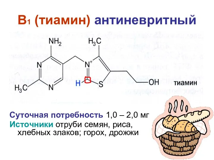 B1 (тиамин) антиневритный Суточная потребность 1,0 – 2,0 мг Источники отруби