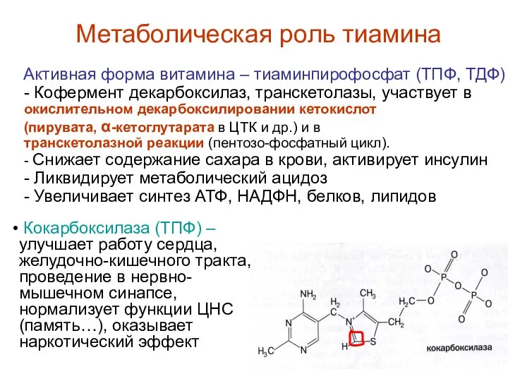 Метаболическая роль тиамина Активная форма витамина – тиаминпирофосфат (ТПФ, ТДФ) -