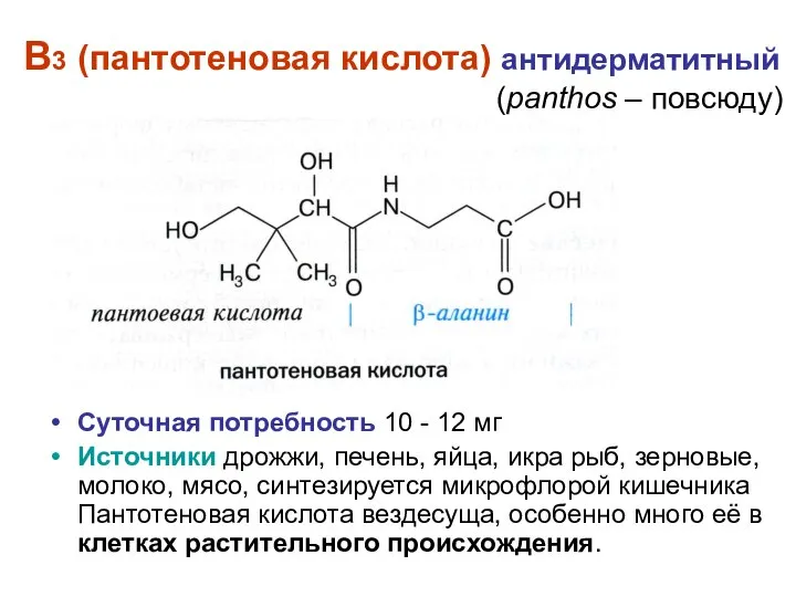 В3 (пантотеновая кислота) антидерматитный (panthos – повсюду) Суточная потребность 10 -