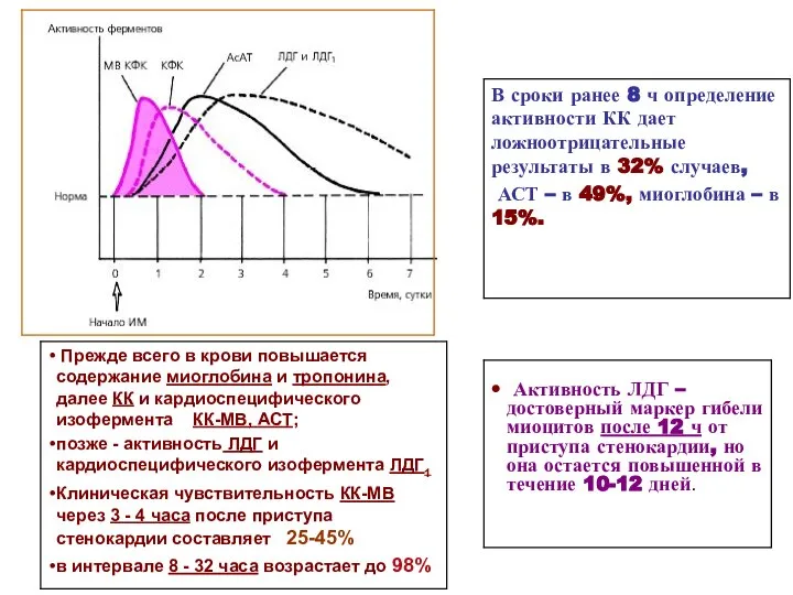 Активность ЛДГ – достоверный маркер гибели миоцитов после 12 ч от