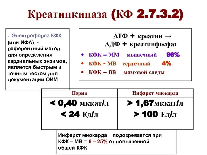 Креатинкиназа (КФ 2.7.3.2) АТФ + креатин → АДФ + креатинфосфат КФК