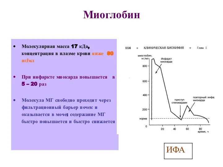 Миоглобин Молекулярная масса 17 кДа, концентрация в плазме крови ниже 80