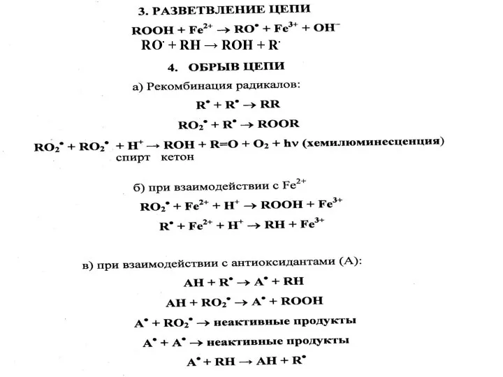 Продолжение 4.